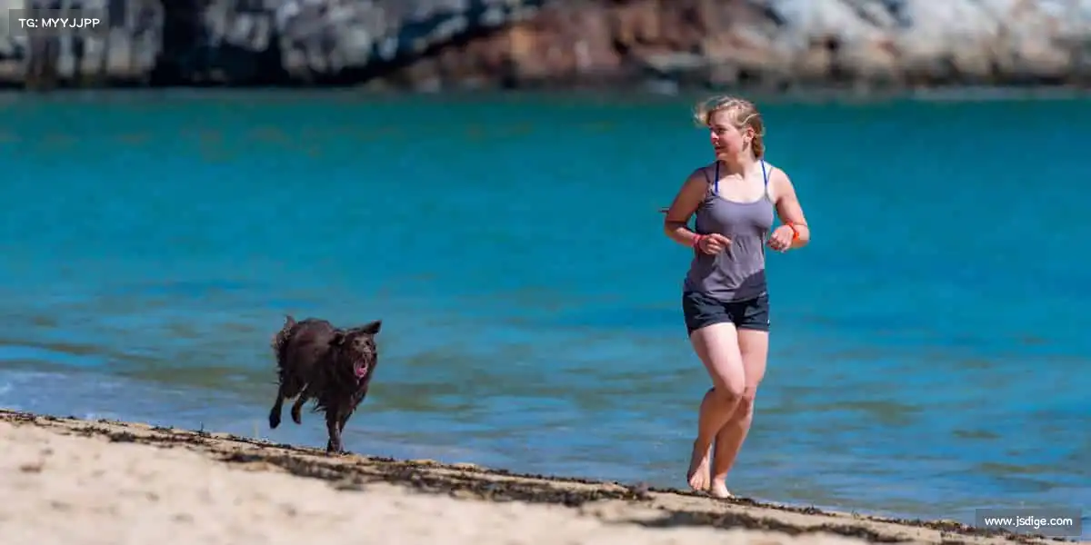 <strong>BSports</strong>🏊‍♀️碧波、赛场、跑道…… 哪里有你，哪里就是主场！